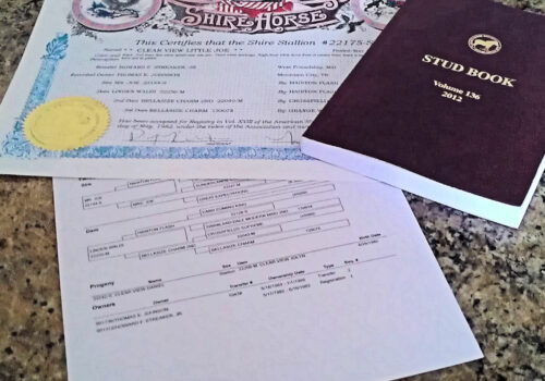 studbook